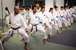 Die Grundschule „Kihon“ bildet die Basis des Karates