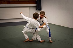 Wurftechniken gehören auch zum Karate